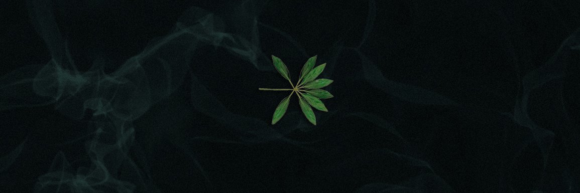 NlNlS's profile banner image