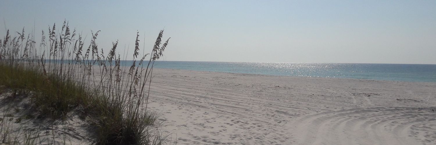 pcola2009's profile banner image