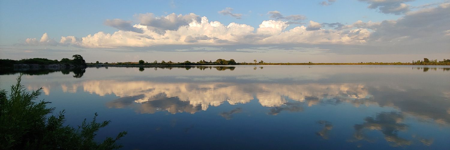 David Maddocks banner