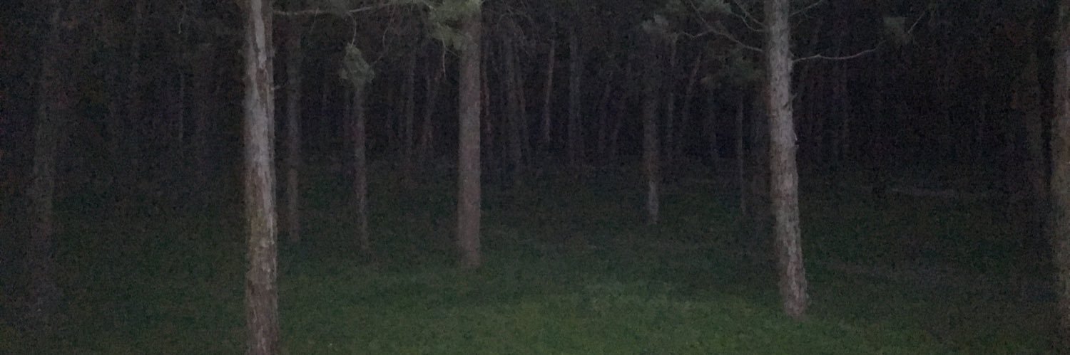 Toarnurri's profile banner image