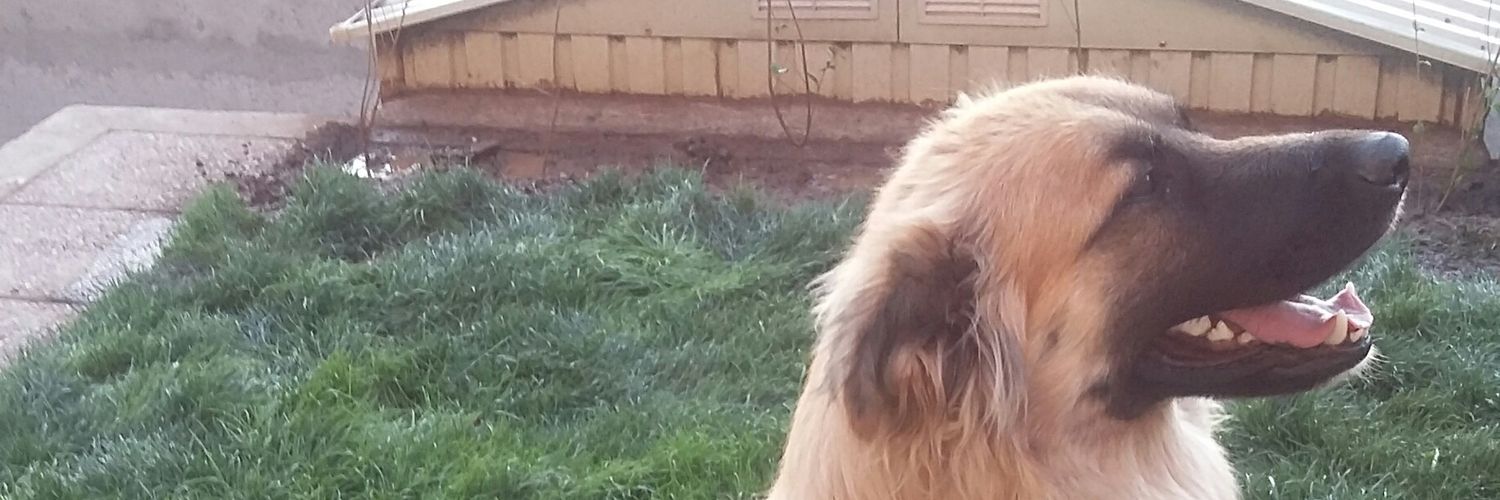 gaby_it's profile banner image