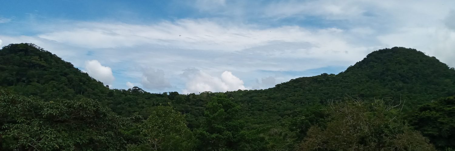 alqui07's profile banner image