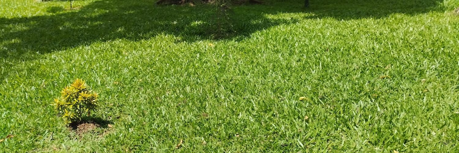 shujaacenter's profile banner image