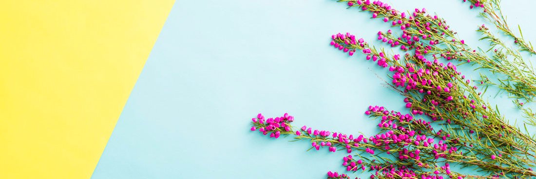 MegLegitSki's profile banner image