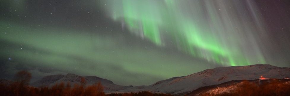 The_Shepherrd's profile banner image
