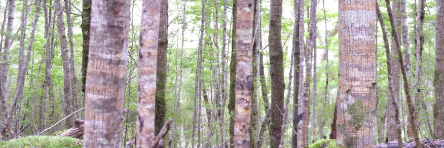 b0bpannell's profile banner image
