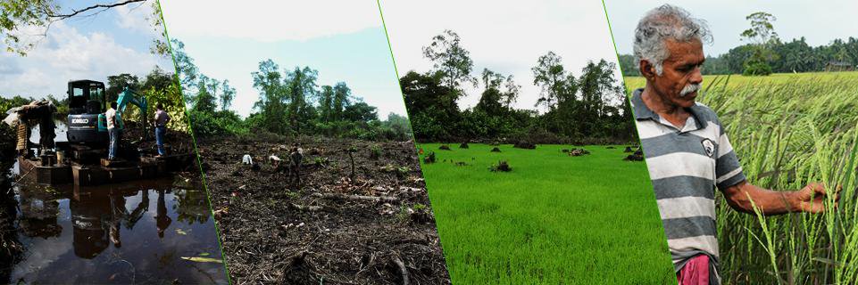 nadep_lk's profile banner image