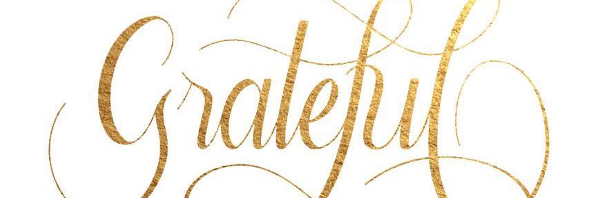 Sofie724's profile banner image