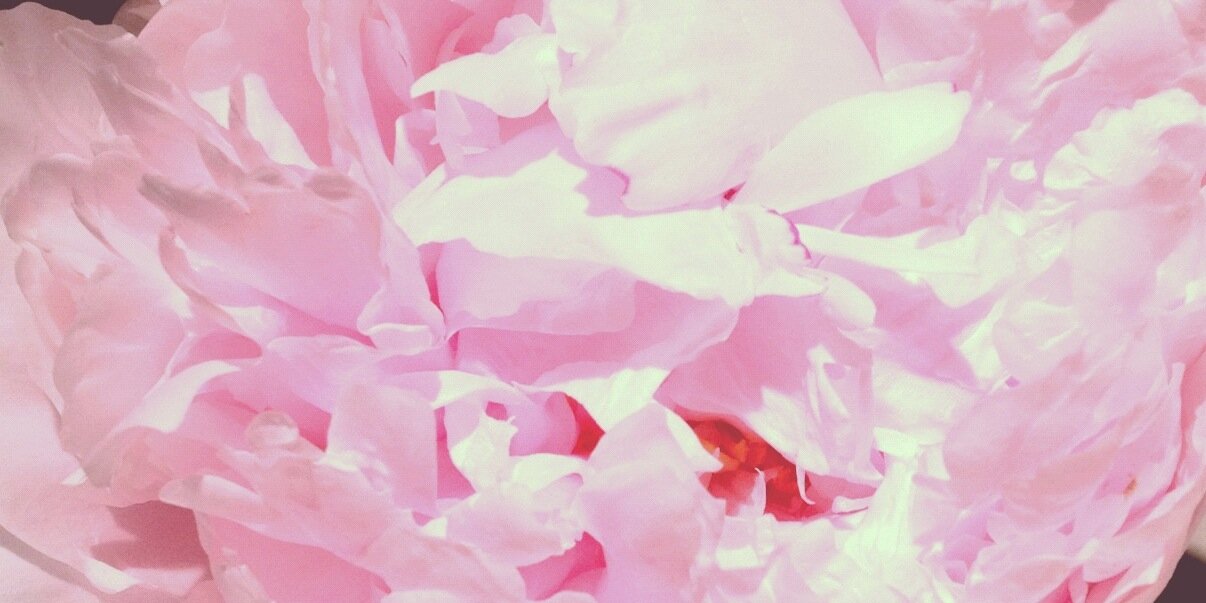 LilBeccaLew's profile banner image