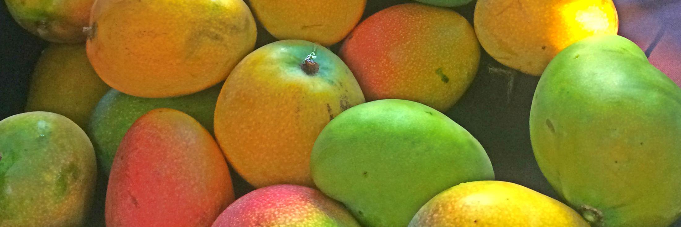 Next Level Events banner