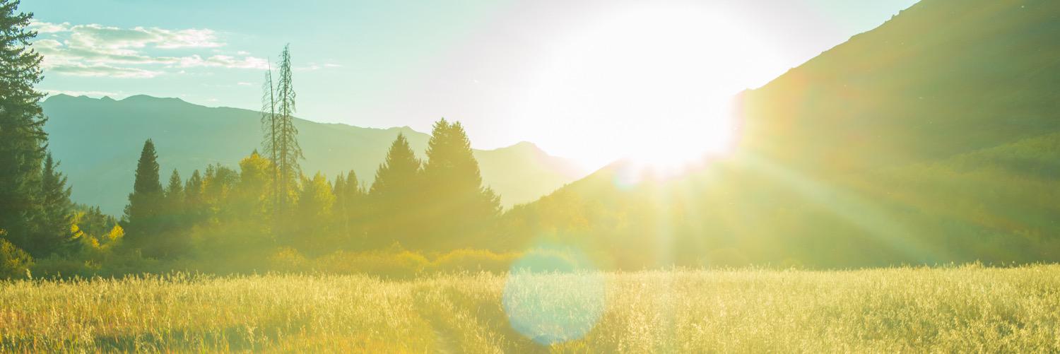 WonderMining's profile banner image