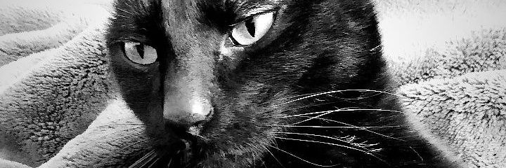 retor's profile banner image