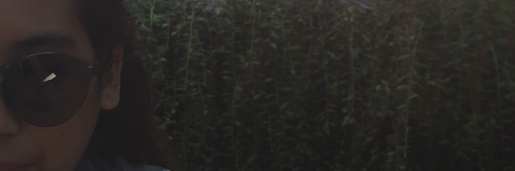 daditya2's profile banner image