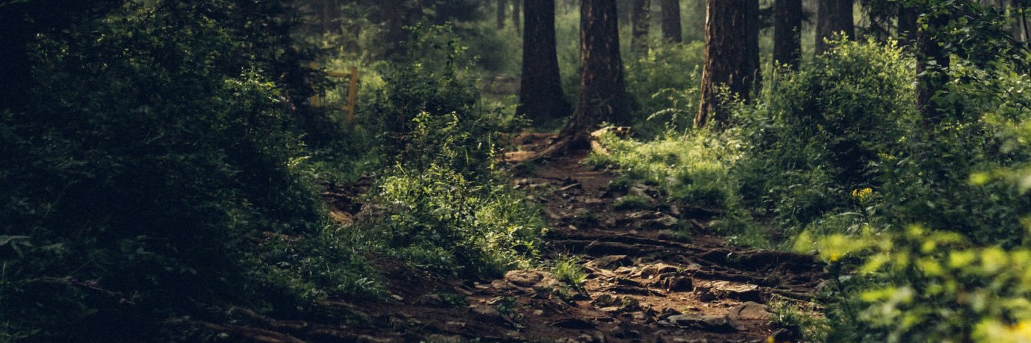 stevethevoipguy's profile banner image