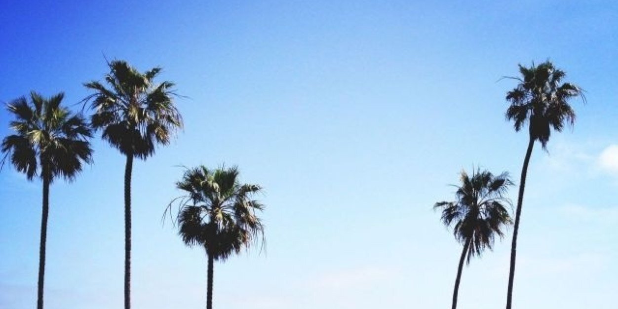 Tiffanystdhrma's profile banner image