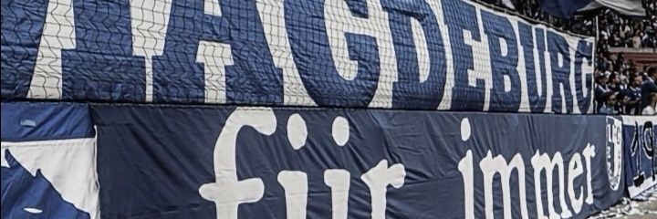 Frieda banner
