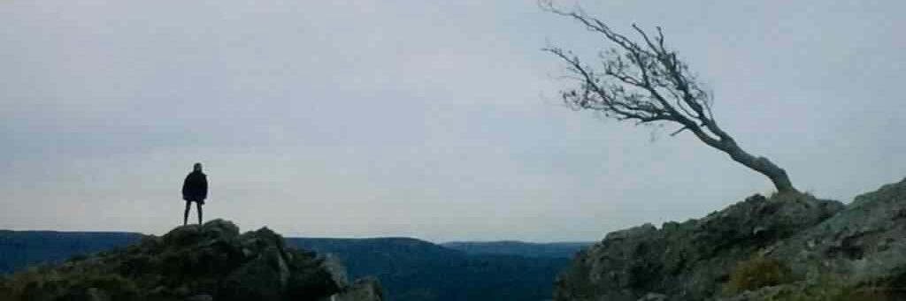 Elif_chan's profile banner image
