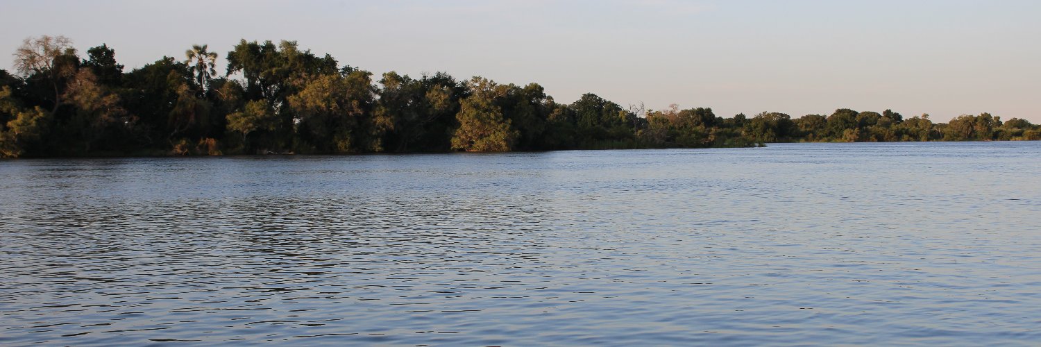 FadzaiMuchemwa's profile banner image