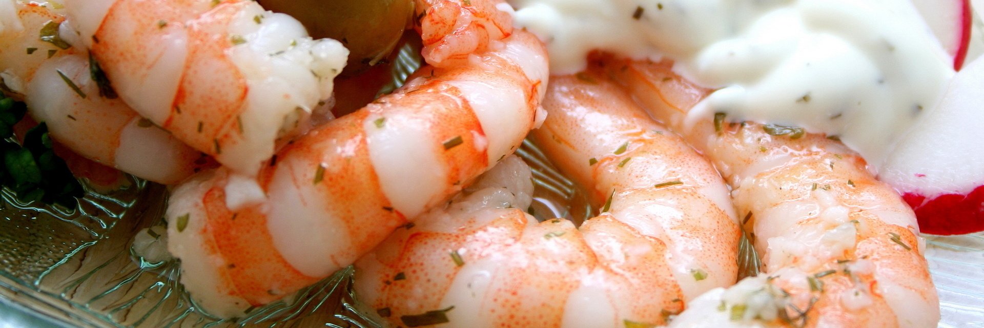 ThaMightyShrimp's profile banner image