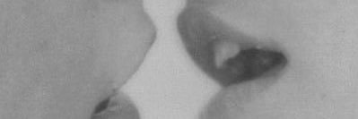 evangelineyan's profile banner image