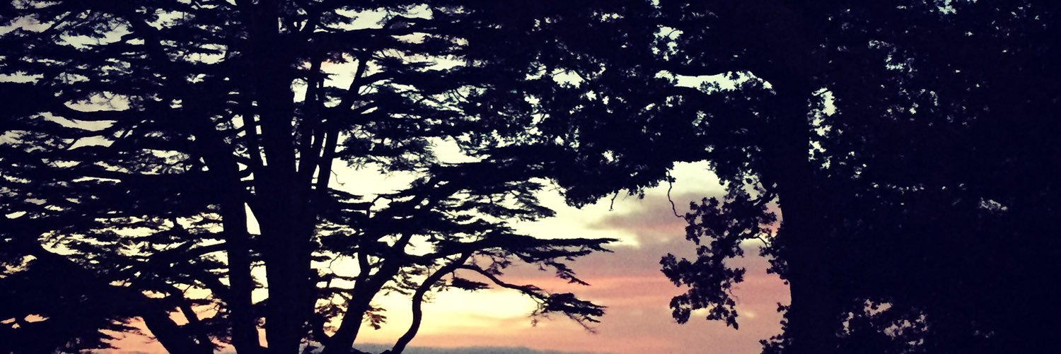 adhiri's profile banner image