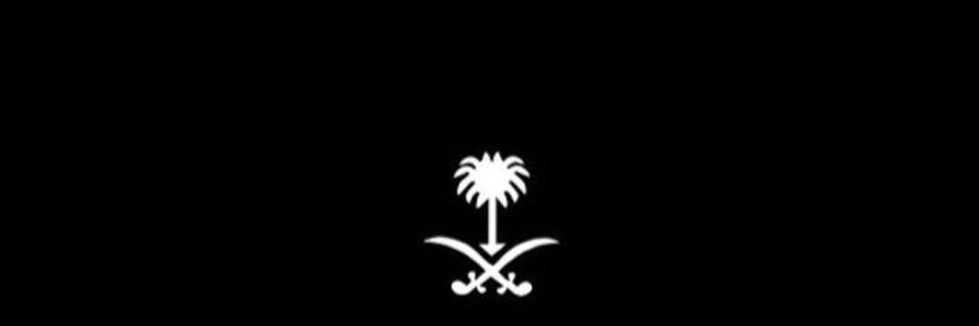 zSAUD banner