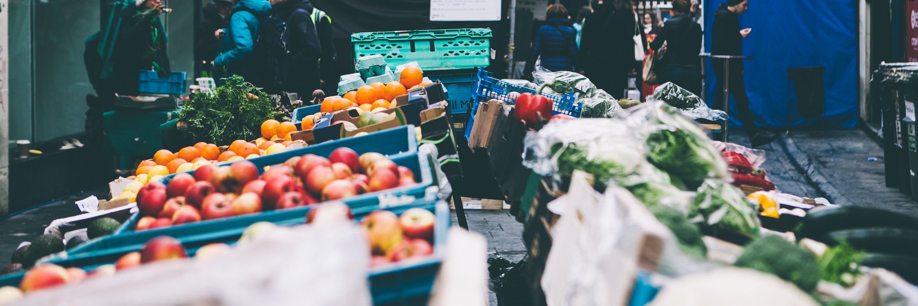 Slow Food Ireland banner