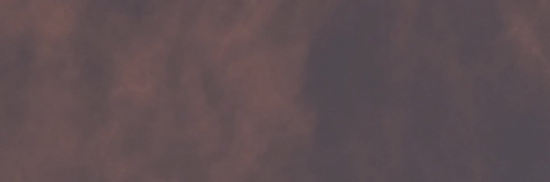 nblh banner