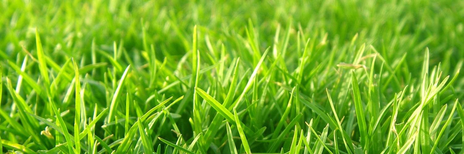 RugbyBusiness's profile banner image