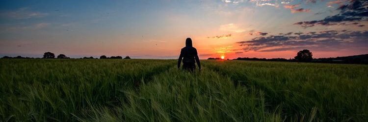 55farshad's profile banner image