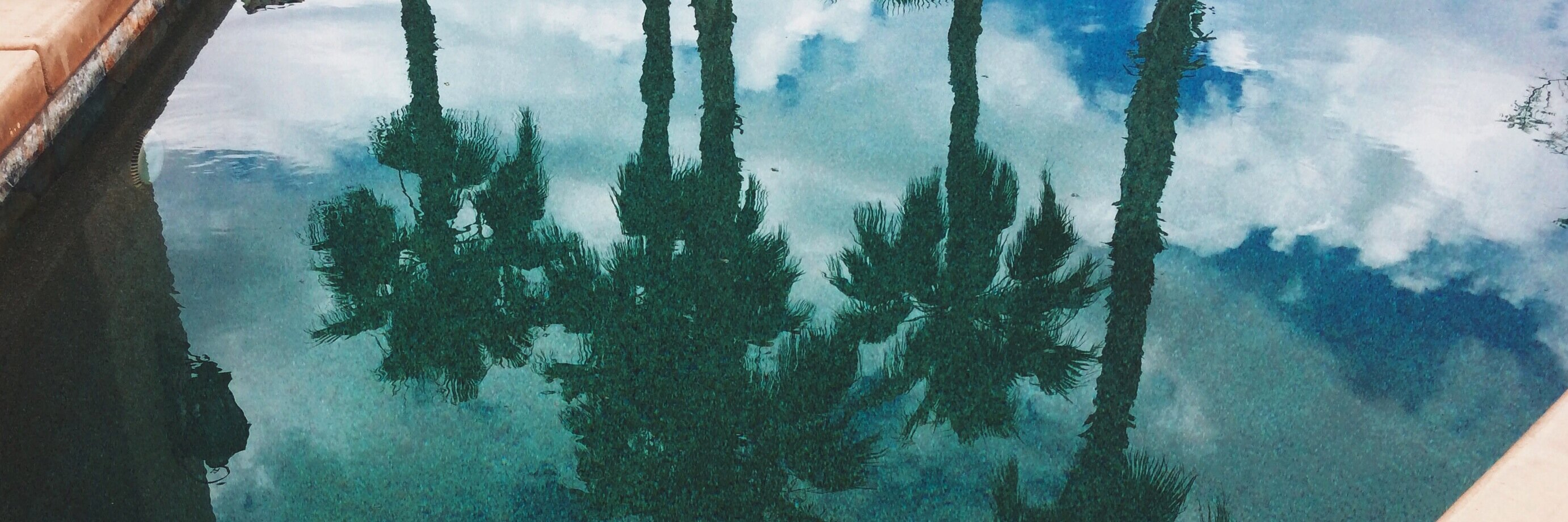 Gina Lu banner