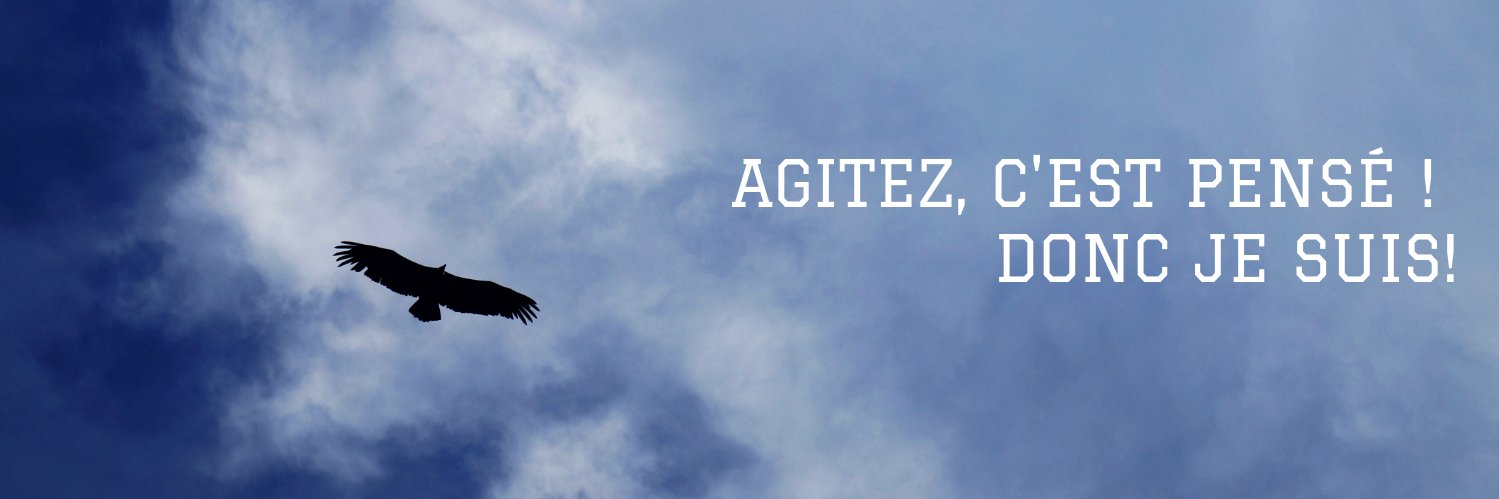 Agitateur de pensées 🐨 banner