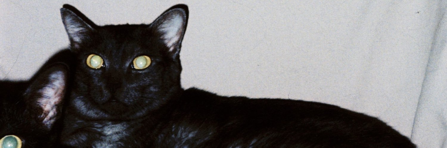 yeahmslk's profile banner image