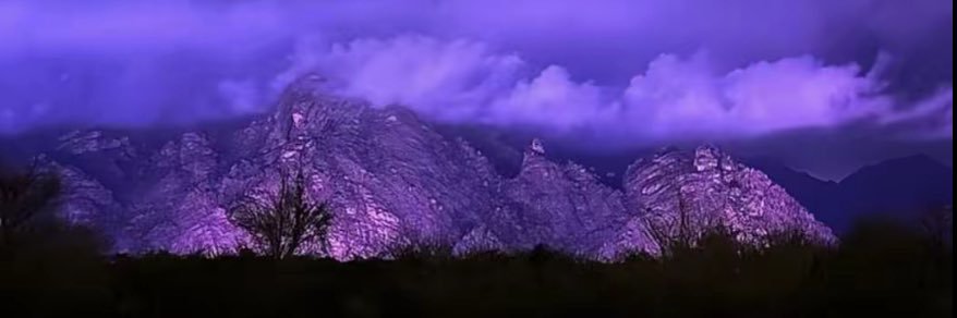 هليل الشمري banner