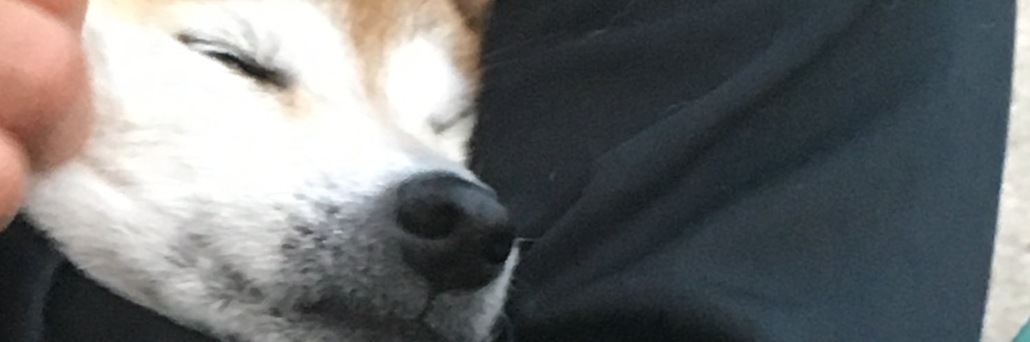 sy01ta1's profile banner image