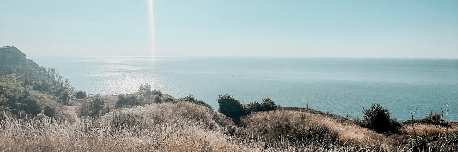 Georgia Stone banner