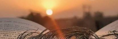 halder_anish's profile banner image