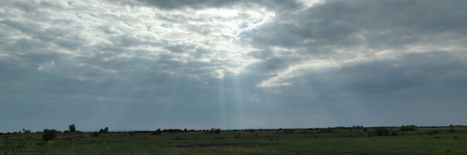 Xarkom's profile banner image