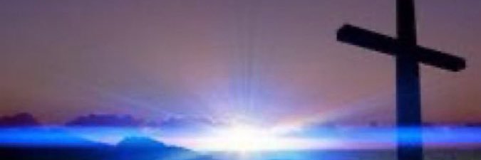 Debbi Daly Roelandts banner