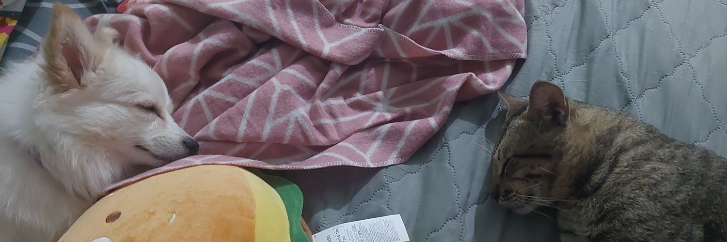 ShaRyLalala's profile banner image