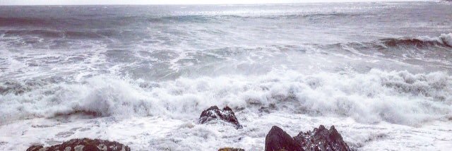 Helen Hand 💙 banner