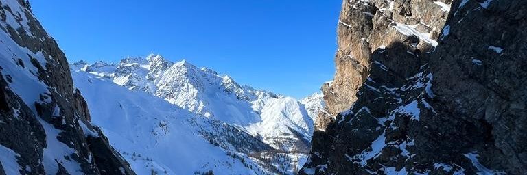 romainlacaille's profile banner image