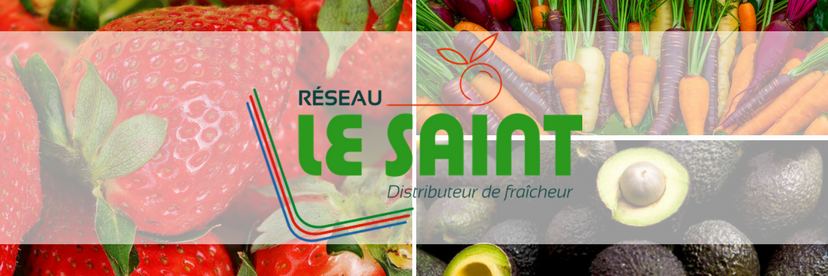 Sud_Primeurs's profile banner image