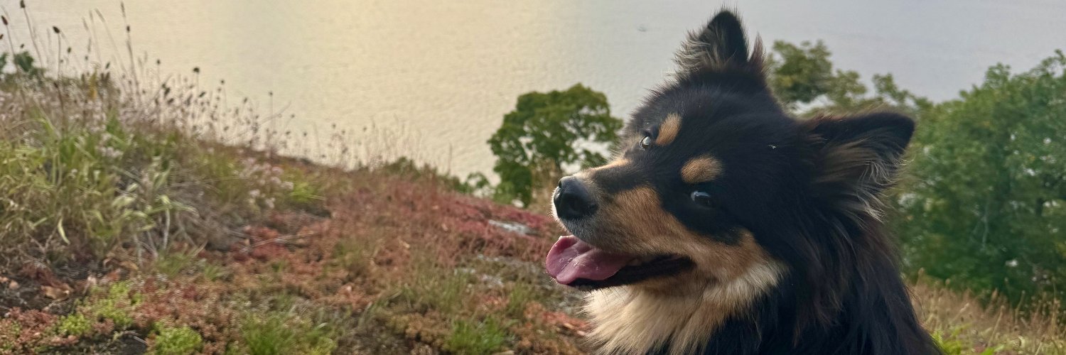 Fredrik Höglund banner