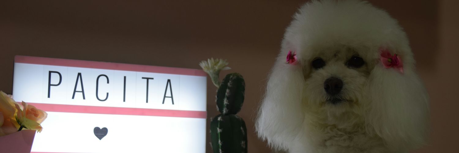 marievba's profile banner image
