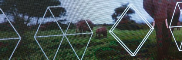 EDFVR1 Profile Banner