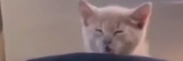 _okCath_'s profile banner image