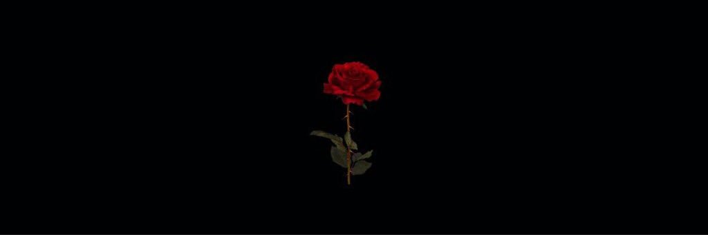 toriah_'s profile banner image