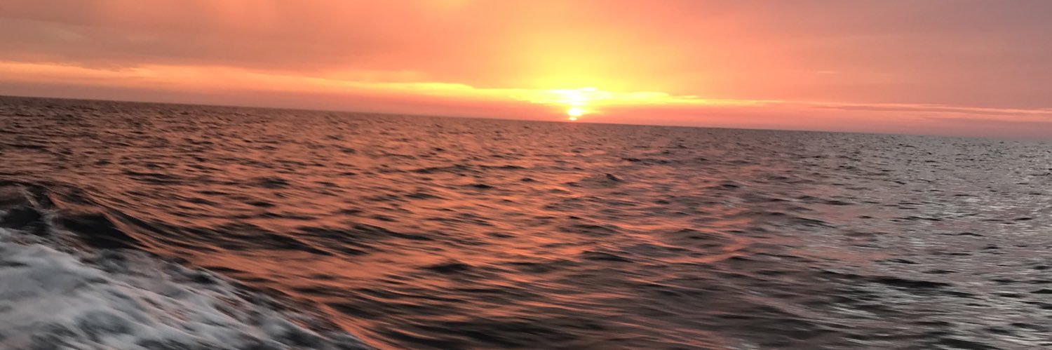 sejeres's profile banner image