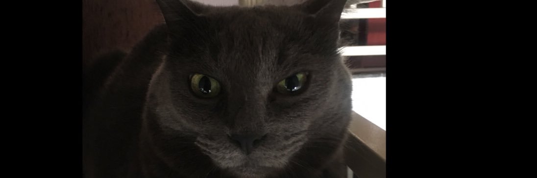 I’m bashman banner